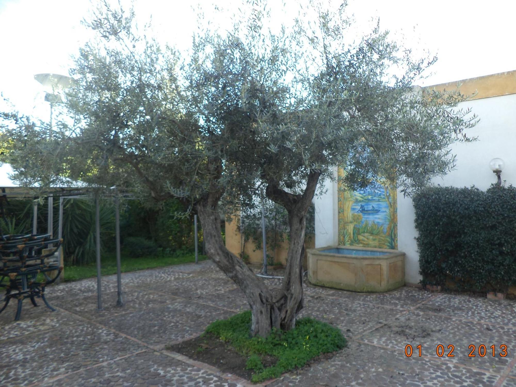 Hotel Villa Palocla Sciacca Buitenkant foto